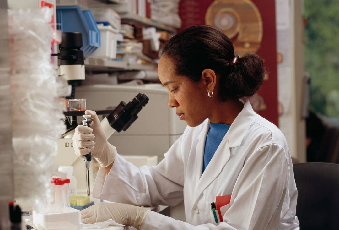 preclinical-cancer-models-repositive-ananda Repositive